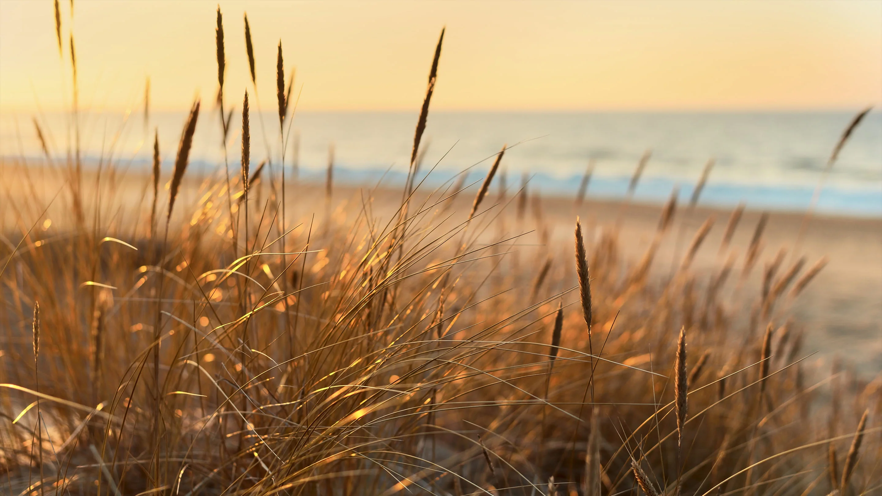 Mode die Meere rettet